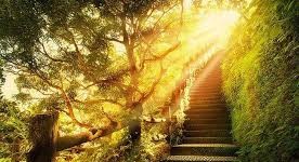 Apocalyptic Light 25